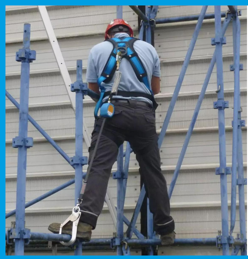 Screenshot 2024-11-21 214546